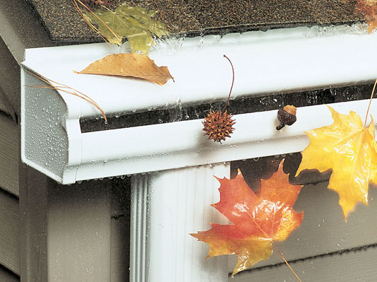 Gutter Protection